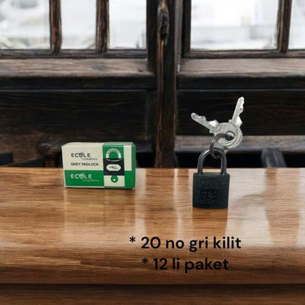 20 NO GRİ KİLİT