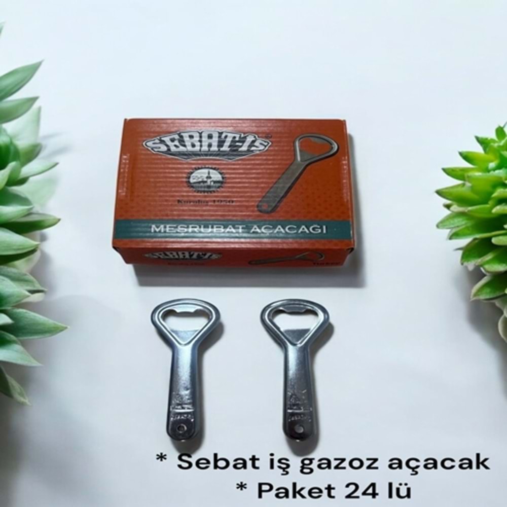 SEBAT İŞ AÇACAK