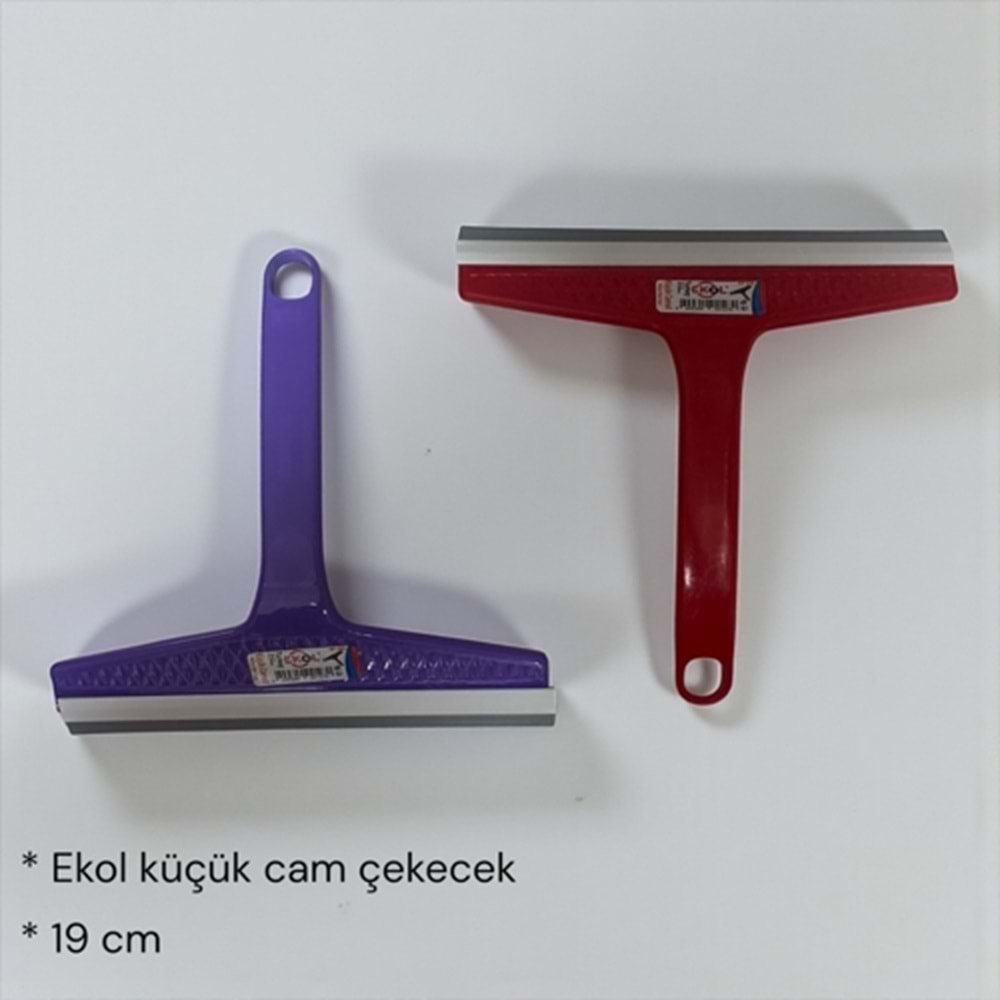 EKOL KÜÇÜK CAMSİL