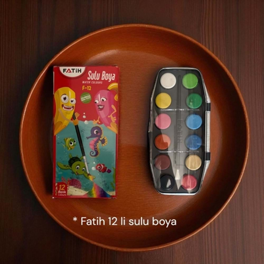 FATİH SULU BOYA