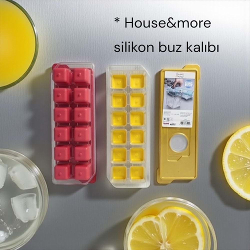 ZMB- HOUSE MORE SİLİKONLU BUZ KALIBI