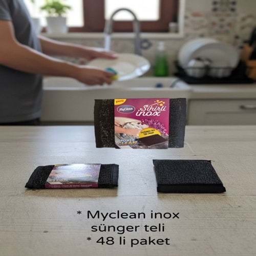TMS- MYCLEAN İNOX SÜNGER TELİ TEKLİ