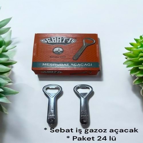 SEBAT İŞ AÇACAK