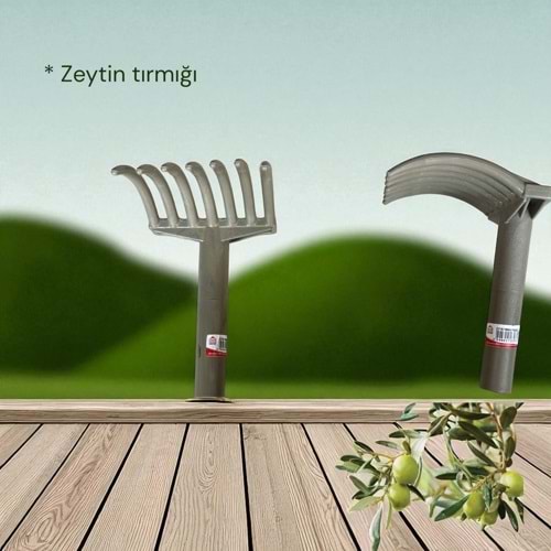 ZEYTİN TIRMIĞI
