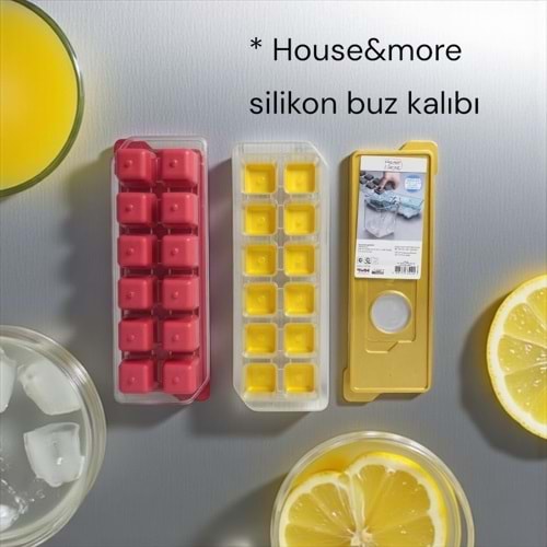 ZMB- HOUSE MORE SİLİKONLU BUZ KALIBI