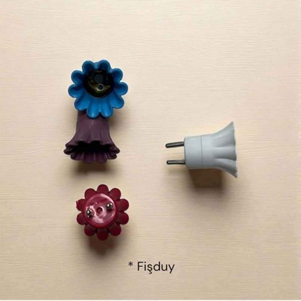 FİŞ DUY
